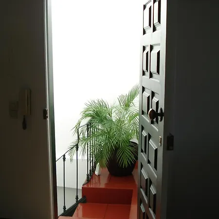Belen Center Riverview Lisbon